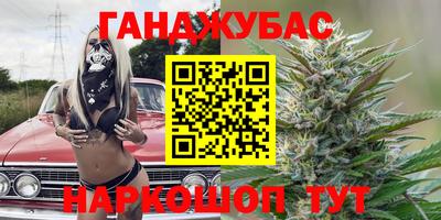 сатива Бузулук