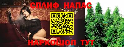 каннабис Будённовск