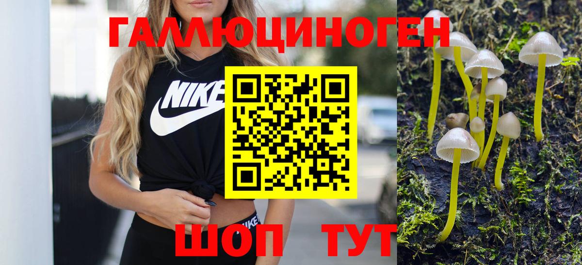 Псилоцибиновые грибы мицелий Строитель