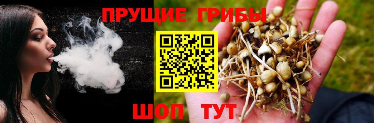 Строитель  Галлюциногенные грибы GOLDEN TEACHER  наркошоп  Вход с VPN 